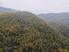 -莫干山风景区