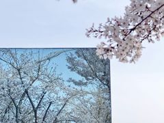 -龙美术馆(西岸馆)