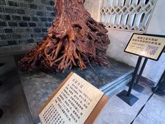 -三苏祠