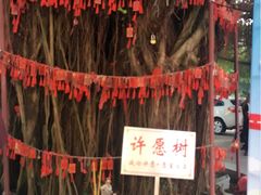 -江门古兜温泉小镇