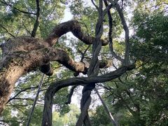 -绮园景区