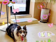 -小意思咖啡店(草桥店)