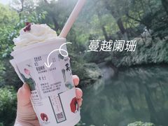 -茶颜悦色(嘉顿一楼吉时赏味游园会店)