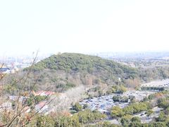 -上海佘山国家森林公园西佘山园