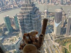 -上海柏悦酒店·世纪100牛排馆