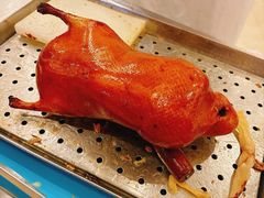-全聚德(上海首店浦东店)