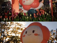 -红梅公园
