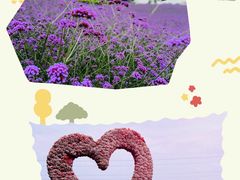 -紫颐香薰山谷景区