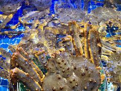 -驻海渔市(置信店)