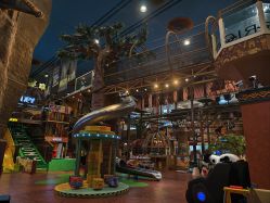 -卡通尼·Safari非洲探索乐园·生日会(金桥国际商业广场店)