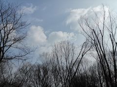 -西湖风景区-江洋畈生态公园