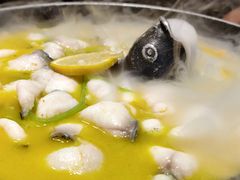 -甦杏鸡毛店(营门口店)