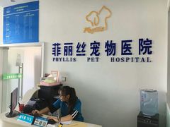 -菲丽丝宠物医院·24小时·猫科中心·免疫点(淮海分院)