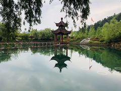 -冶父山国家森林公园