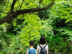-西岭雪山大飞水景区