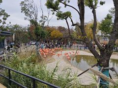 -武汉动物园
