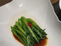 -临江·阅炉