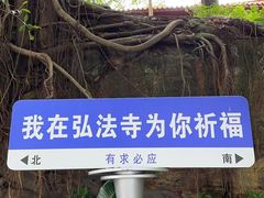 -深圳仙湖植物园