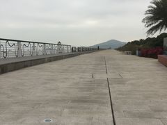 -横琴客运码头