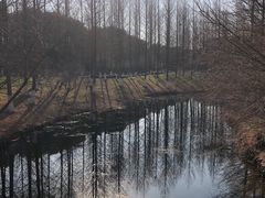 -绍兴镜湖国家城市湿地公园