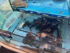 -乐在集市海鲜大排档(平潭店)