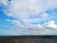 -大湾区中央湿地公园