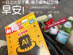 -上海浦东国际机场-T2航站楼