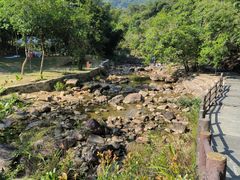 -广州白江湖森林公园