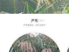-贡湖湾湿地公园