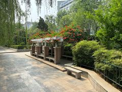 -环城公园