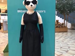 -济州岛泰迪熊博物馆