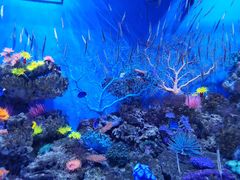 -成都浩海立方海洋公园