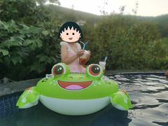 -天目湖御水温泉·度假酒店