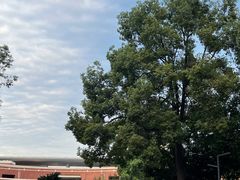 -四川大学(望江校区)