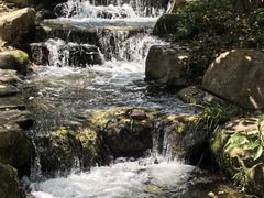 -中国茶叶博物馆(双峰馆区)