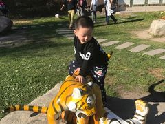 -横道河子东北虎林园