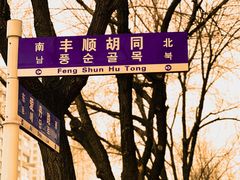 -金家紫菜饭(老客运站店)