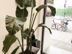 -常识咖啡common sense(春熙路店)