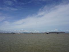 -大湾区中央湿地公园