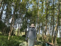 -桤木河湿地公园