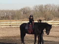 -月河湾马术俱乐部(朝阳店)