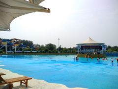 -海盗传奇水世界