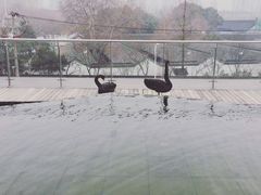 -南京圣和府邸豪华精选酒店