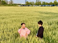 -嘉北郊野公园