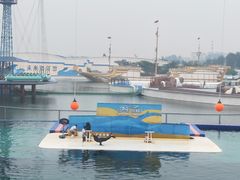 -秦皇岛乐岛海洋王国