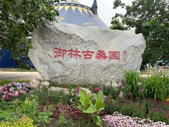 -御林古桑园