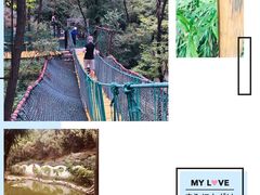 -原山国家森林公园