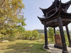-千年银杏谷文化旅游区