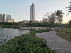 -万绿园