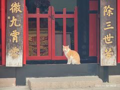 -成都市文殊院